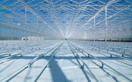 hortiglass diffuse