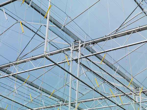 hortiglass diffuse